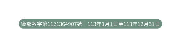 衛部救字第1121364907號 113年1月1日至113年12月31日